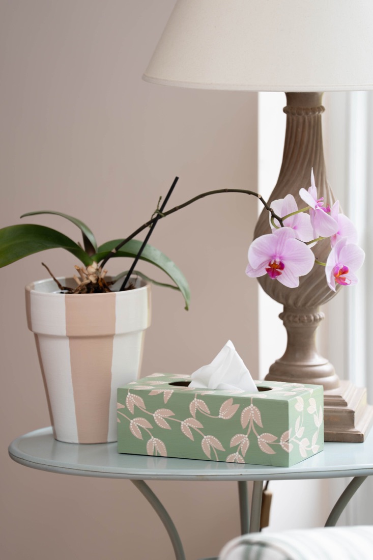 A pale green botanical tissue box on a glass table beside an orchid.